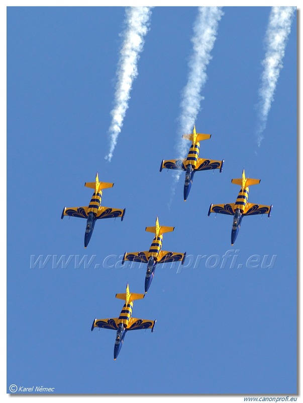 Baltic Bees Jet Team -  5x Aero L-39C Albatros