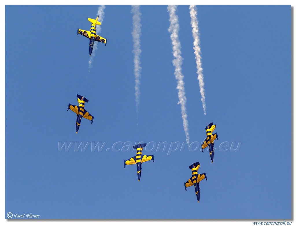 Baltic Bees Jet Team -  5x Aero L-39C Albatros