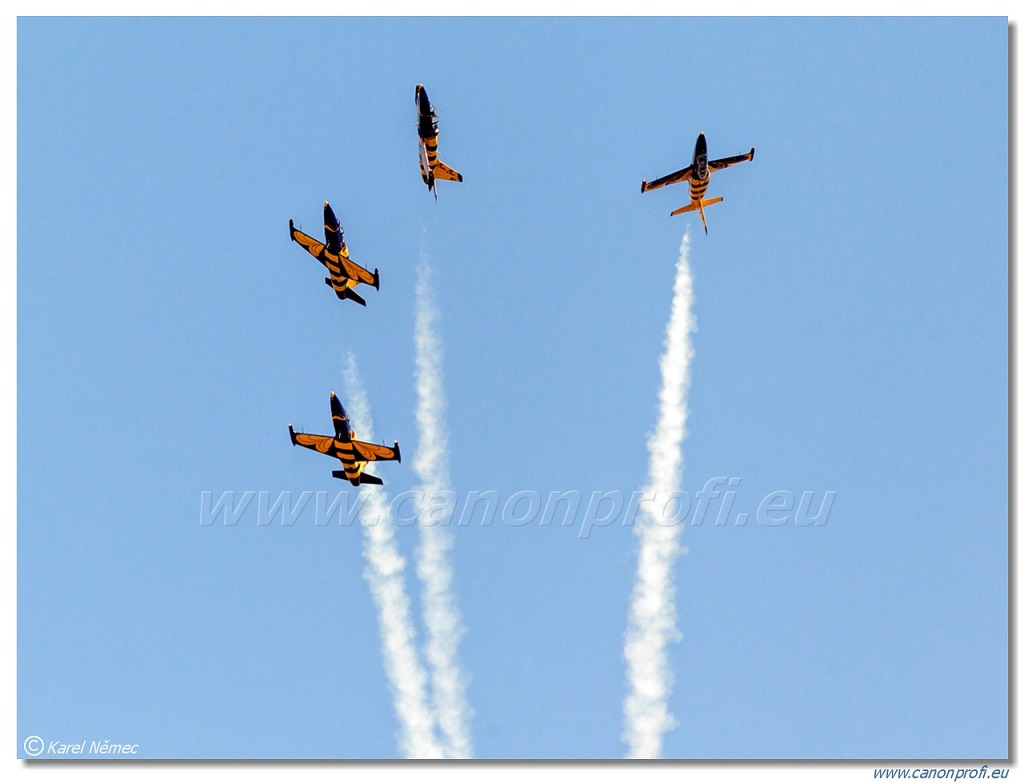 Baltic Bees Jet Team -  5x Aero L-39C Albatros