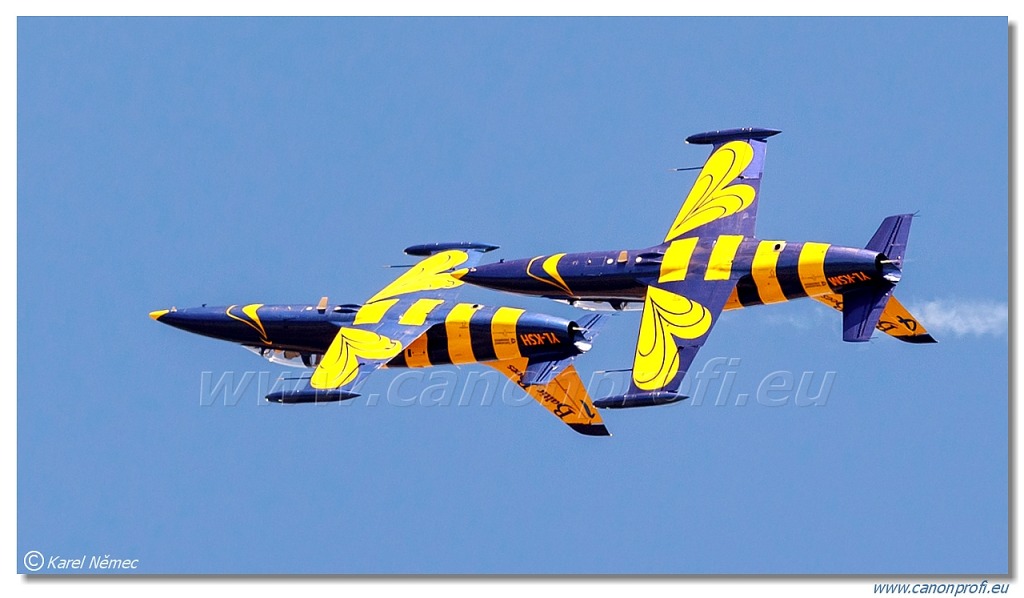 Baltic Bees Jet Team -  5x Aero L-39C Albatros