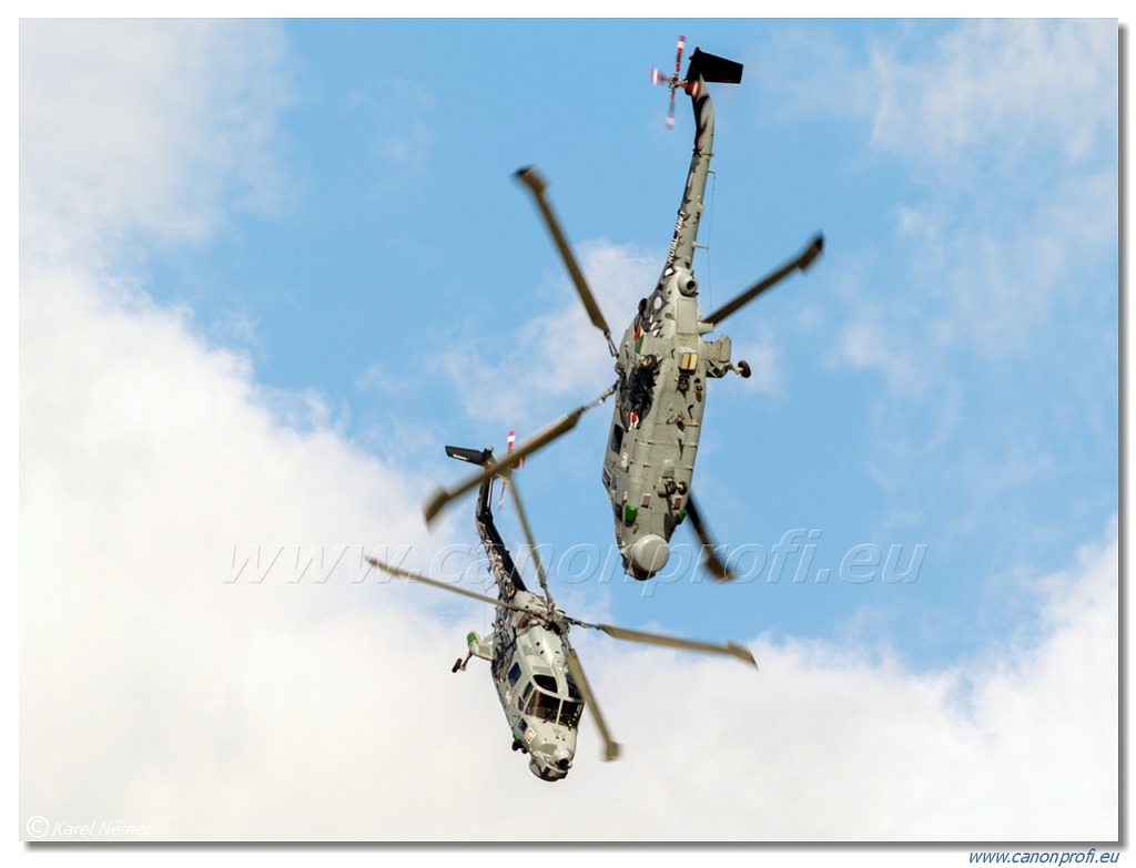 Black Cats - 2x Westland Lynx