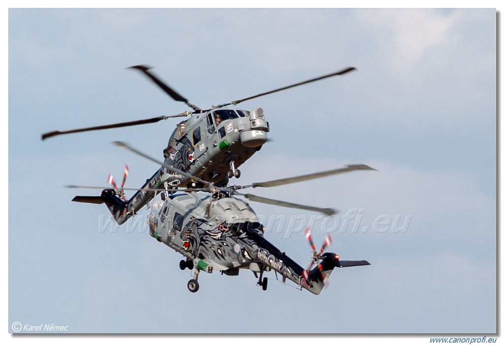 Black Cats - 2x Westland Lynx