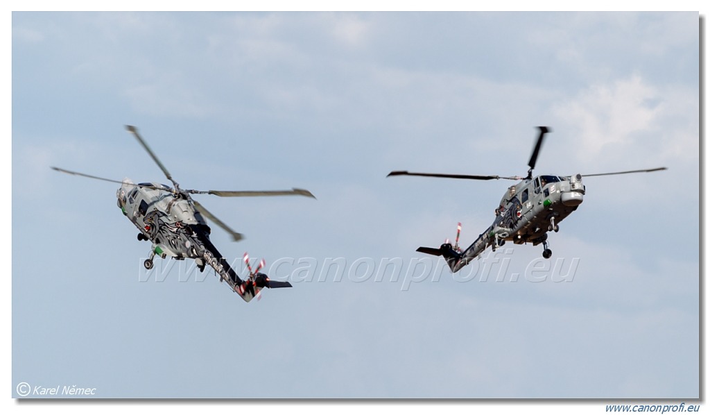 Black Cats - 2x Westland Lynx