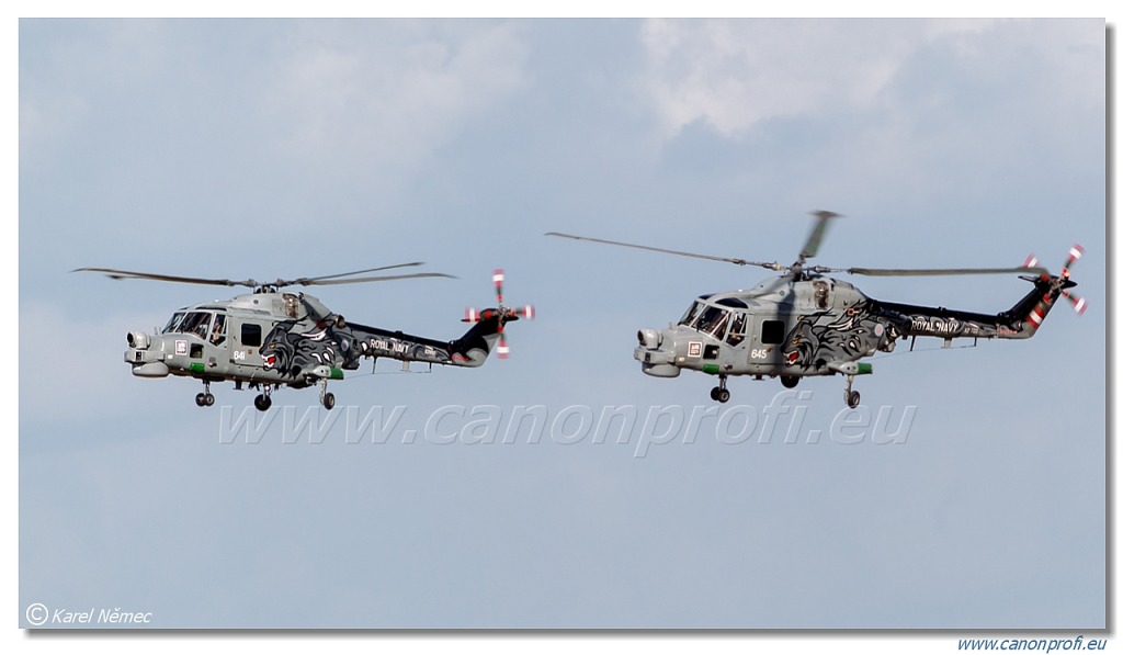 Black Cats - 2x Westland Lynx