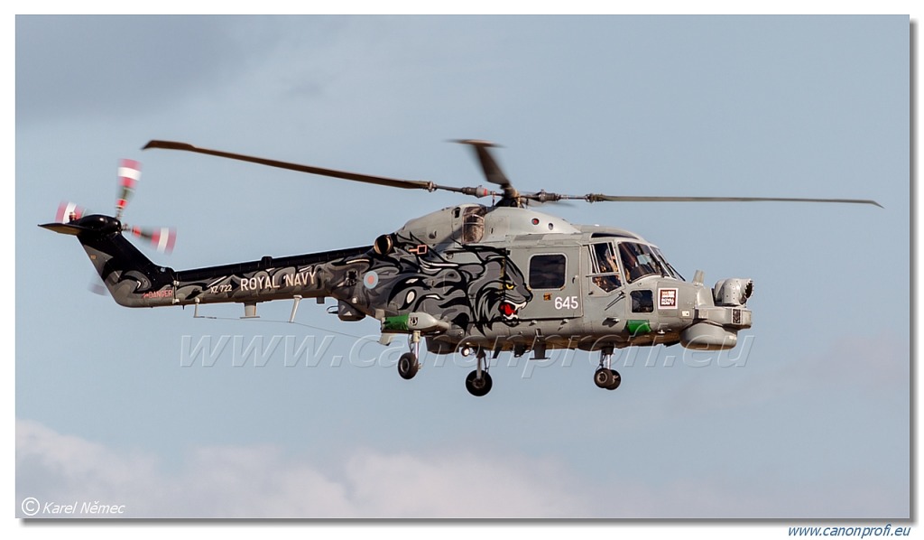 Black Cats - 2x Westland Lynx