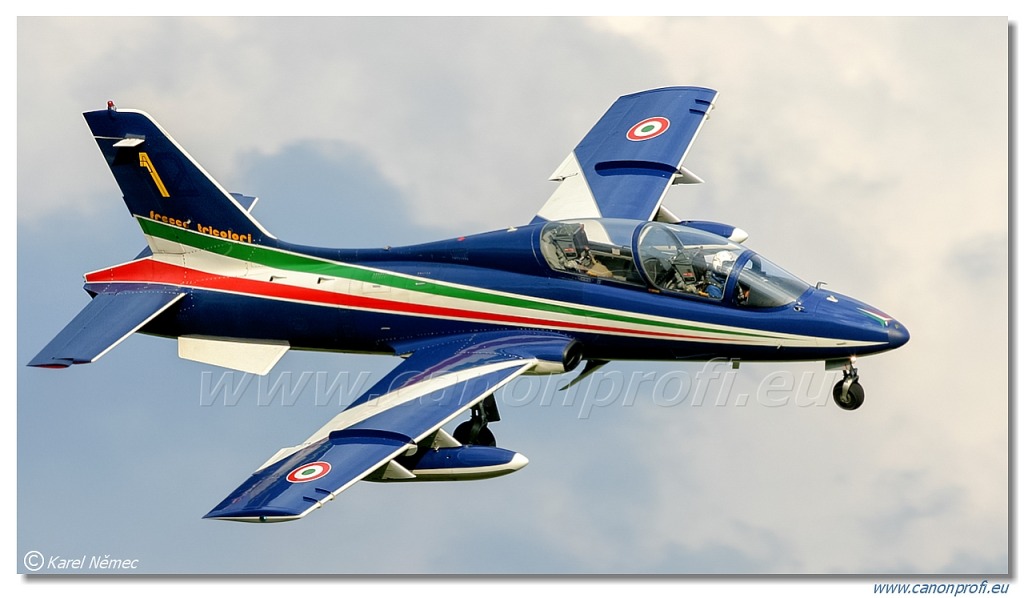 Frecce Tricolori - 9x Aermacchi MB-339-A/PAN