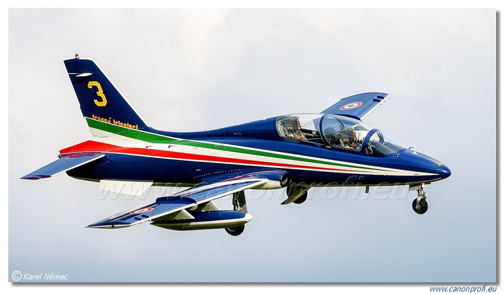 Frecce Tricolori - 9x Aermacchi MB-339-A/PAN