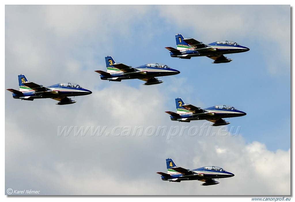 Frecce Tricolori - 9x Aermacchi MB-339-A/PAN