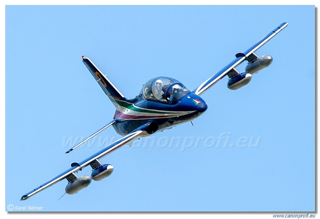 Frecce Tricolori - 9x Aermacchi MB-339-A/PAN