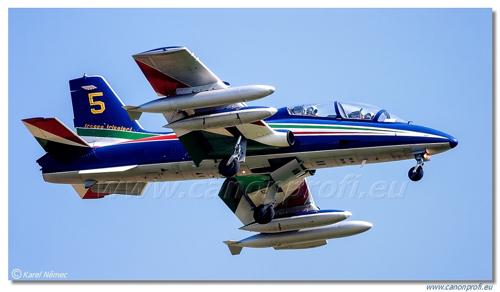 Frecce Tricolori - 9x Aermacchi MB-339-A/PAN