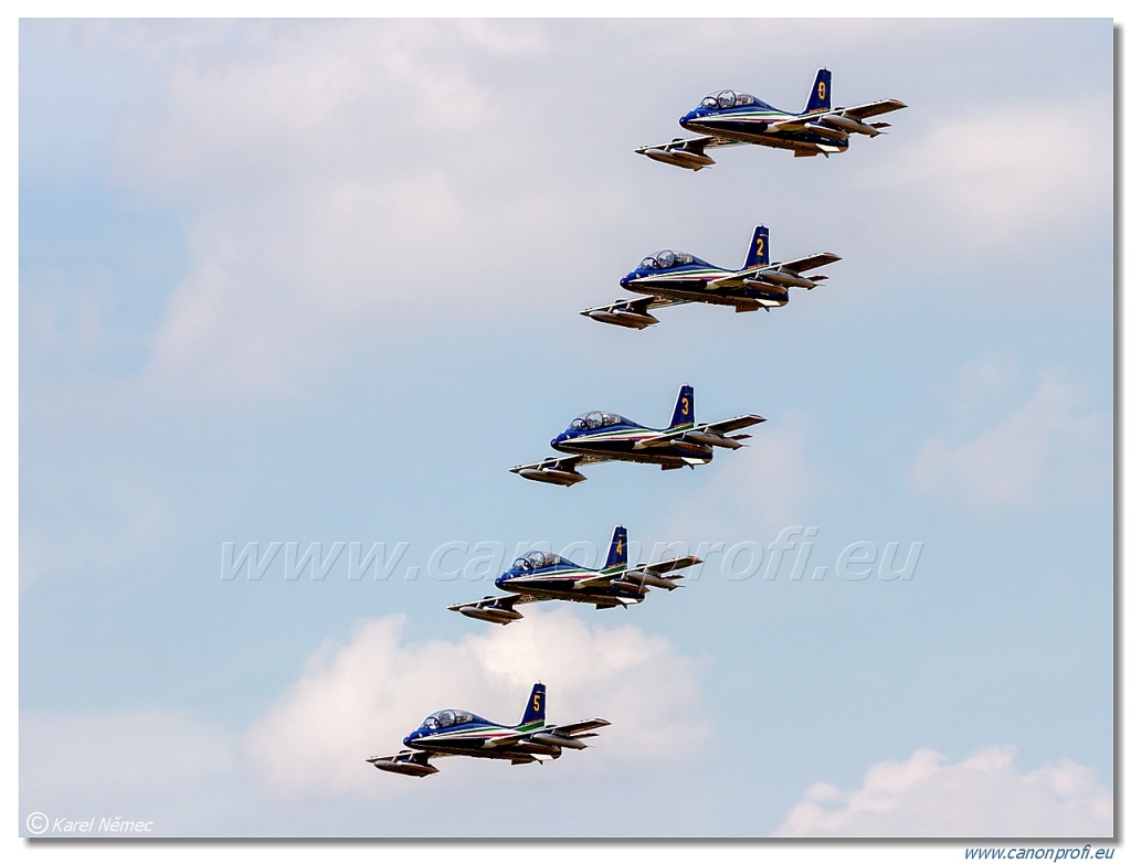 Frecce Tricolori - 9x Aermacchi MB-339-A/PAN