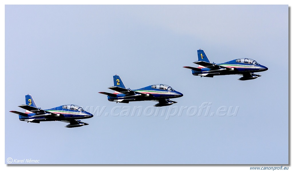 Frecce Tricolori - 9x Aermacchi MB-339-A/PAN