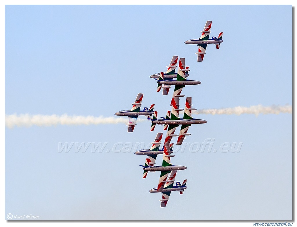 Frecce Tricolori - 9x Aermacchi MB-339-A/PAN