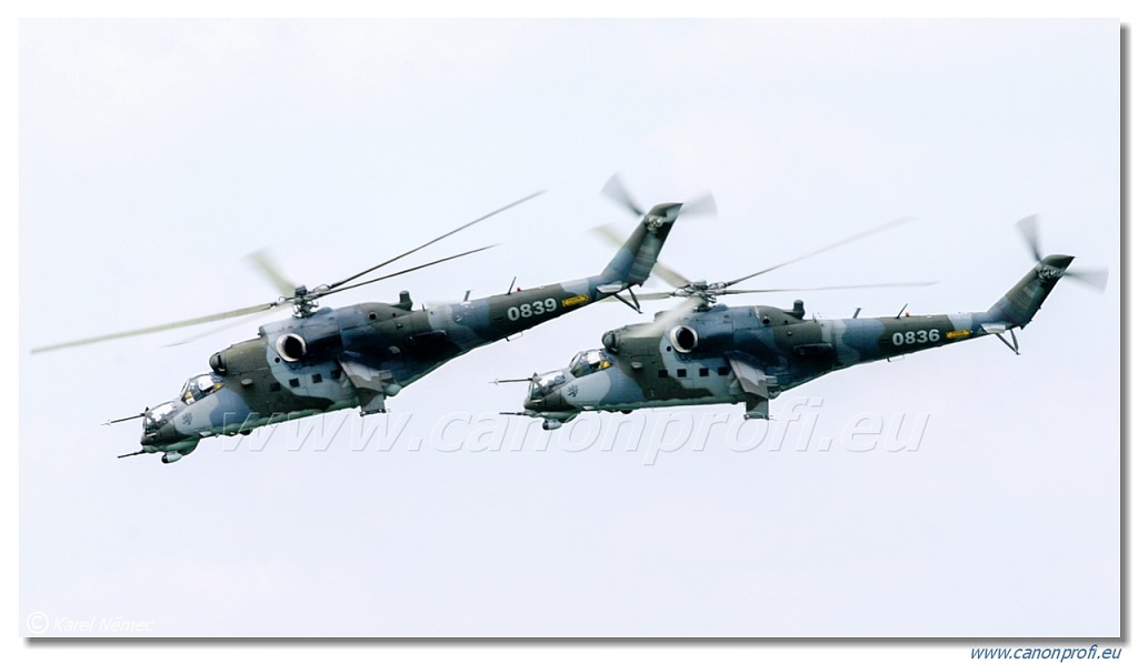 Skupina Mi-24 - 2x Mil Mi-24