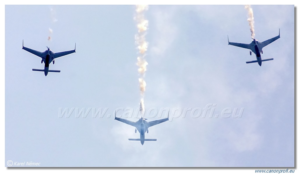 Patrouille Reva - 3x Rutan Vari-Eze