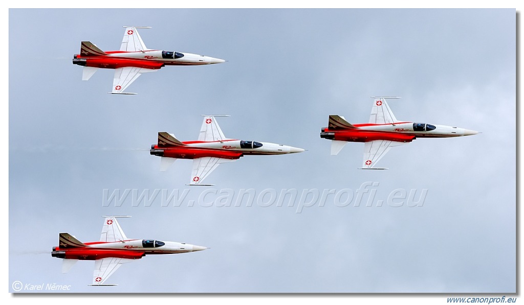 Patrouille Suisse - 6x Northrop F-5E Tiger