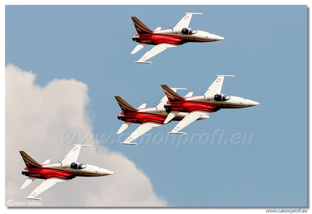 Patrouille Suisse - 6x Northrop F-5E Tiger