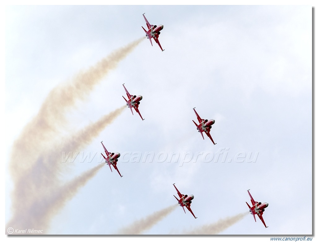 Patrouille Suisse - 6x Northrop F-5E Tiger