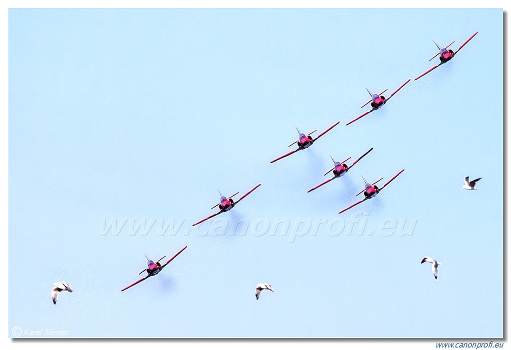 Patrulla Águila – 7x CASA C-101