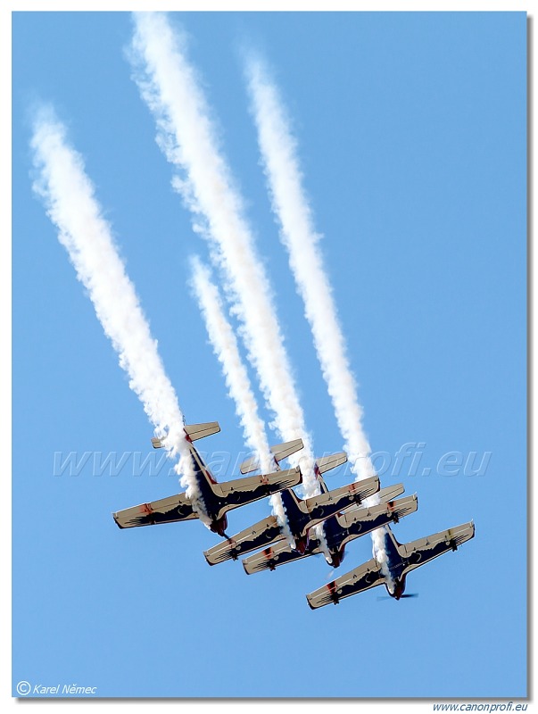 Pioneer Team - 4x Alpi Aviation Pioneer 330 Acro