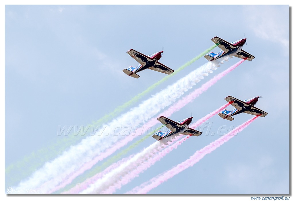 Pioneer Team - 4x Alpi Aviation Pioneer 330 Acro