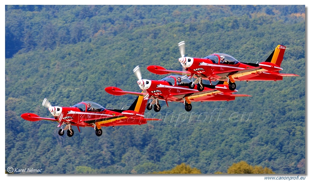 Red Devils -  4x SIAI Marchetti SF-260