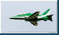 Saudi Hawks