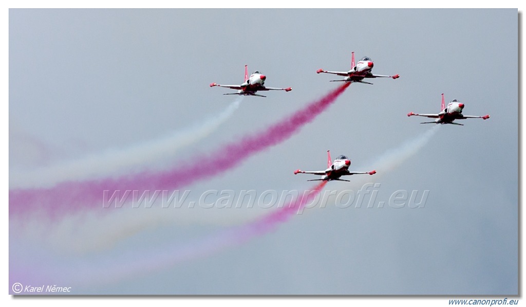 Türk Yıldızları (Turkish Stars) - 6x NF-5A, 2x NF-5B Freedom Fighter