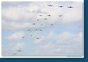 Balbo Formation