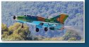 Mikoyan-Gurevich MiG-21UM Lancer B