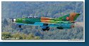 Mikoyan-Gurevich MiG-21UM Lancer B