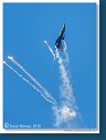 Lockheed Martin F-16AM Fighting Falcon