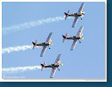 Flying Bulls Aerobatics Team