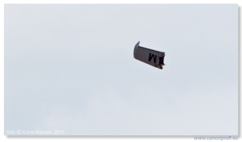 Flying Legends Duxford 2011