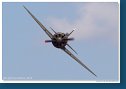 Polikarpov I-16 Type 24