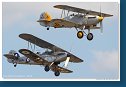 Hawker Hind & Nimrod II