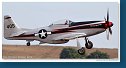 Cavalier P-51D Mustang 2