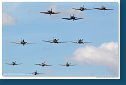 Flying Legends 2010