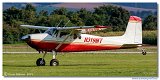 Cessna 180 Skywagon  