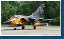 Tornado IDS