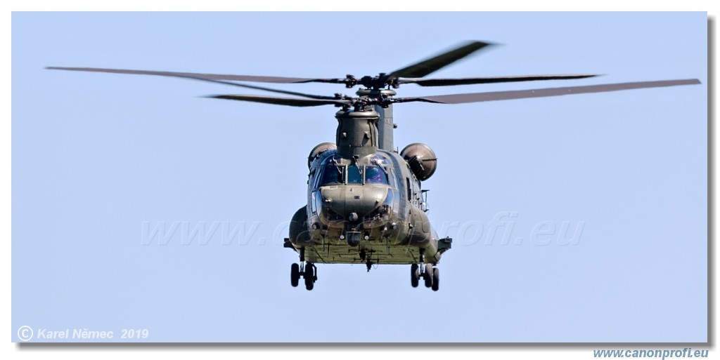 Air Festival 2019 - RAF Chinook Display Team 