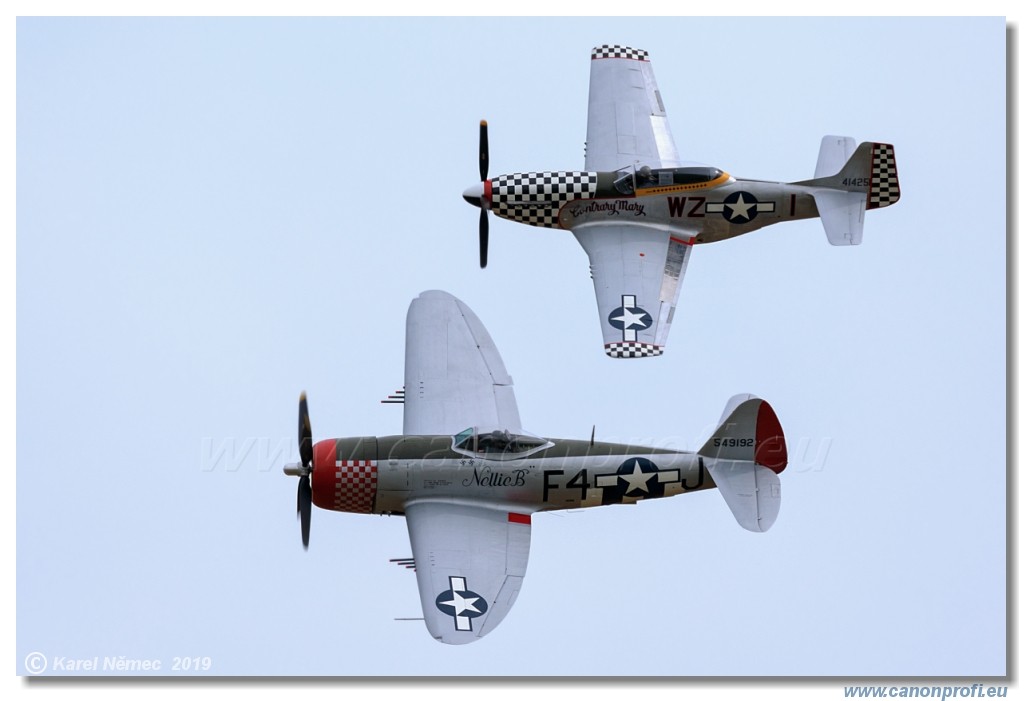 Air Festival 2019 - USAAF Fighters  