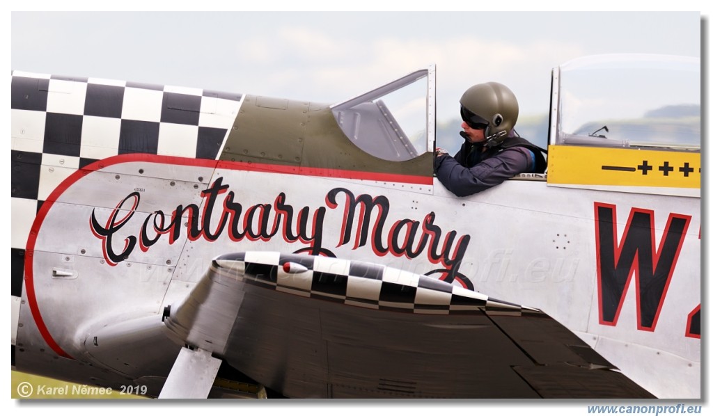 Air Festival 2019 - USAAF Fighters  