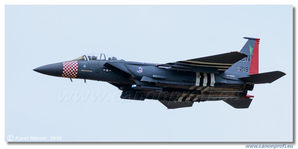 Air Festival 2019 - USAAF Fighters  