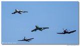 ???-15???  Midget + F-86 Sabre + FW-190 A8/M + F4U-4 Corsair 