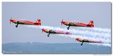 Royal Jordanian Falcons 