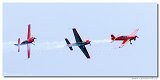 Royal Jordanian Falcons 