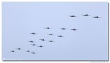 Spitfire Formation - 18x 