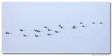 Spitfire Formation - 18x 