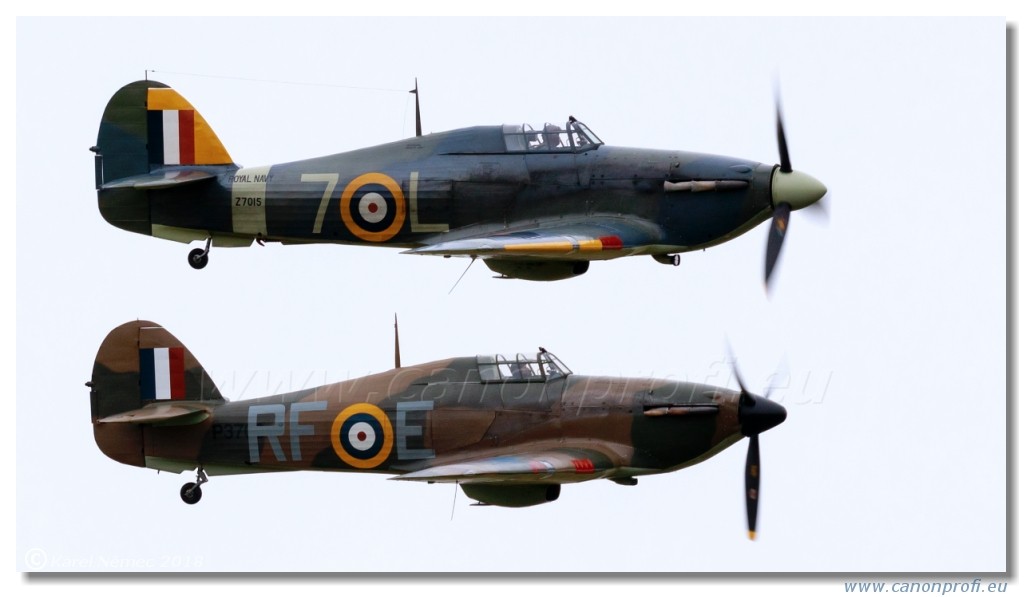 Duxford 2018 - RAF 100